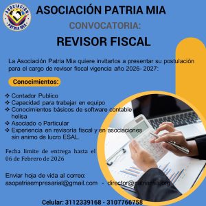 Revisor Fiscal